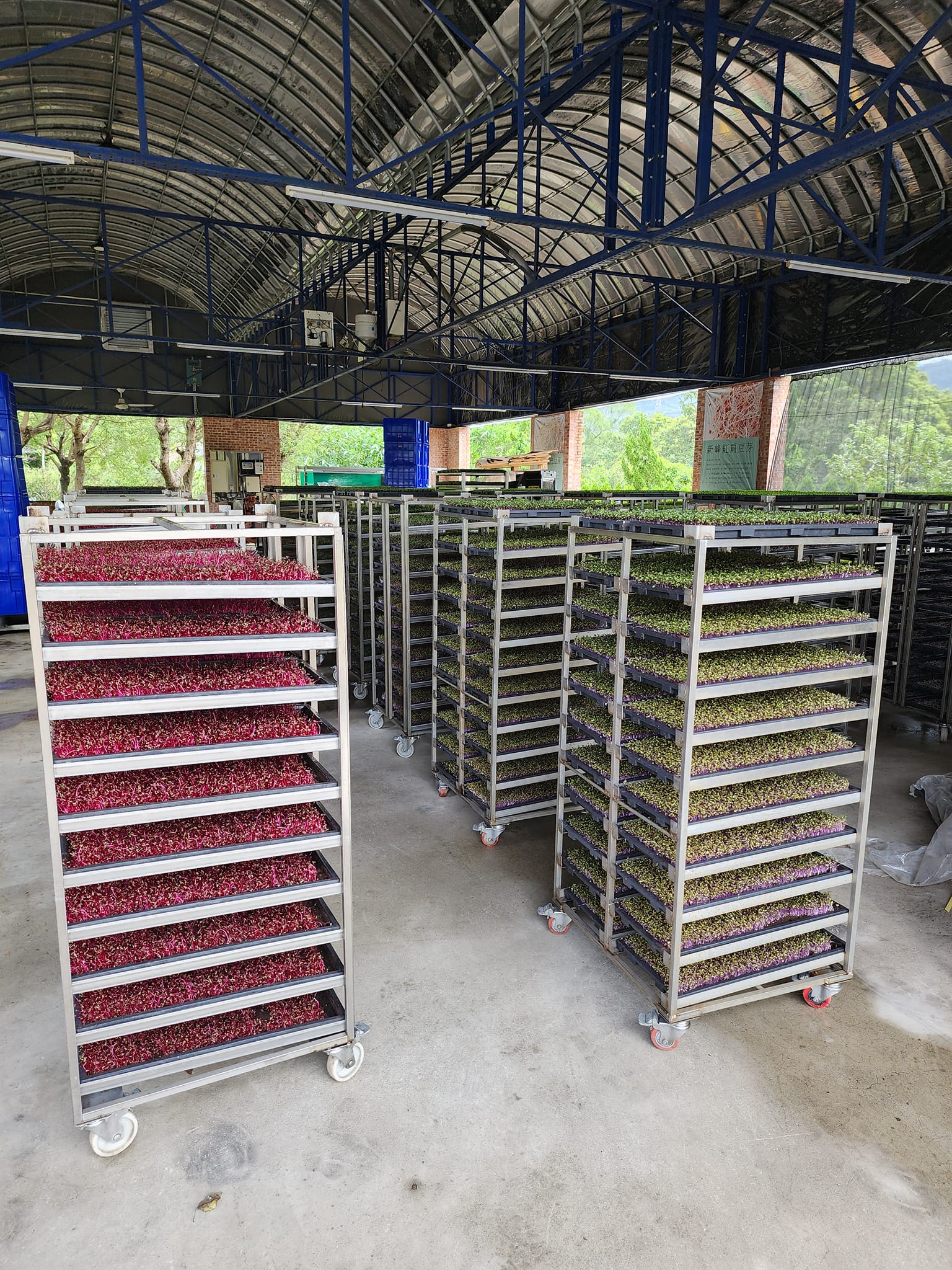 新峰有機芽菜農場