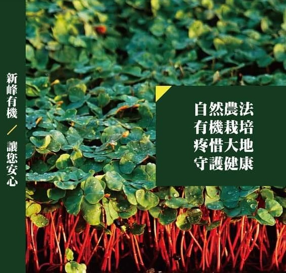 新峰有機芽菜農場