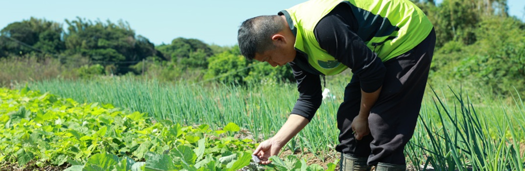 三芝有機農場-農產品