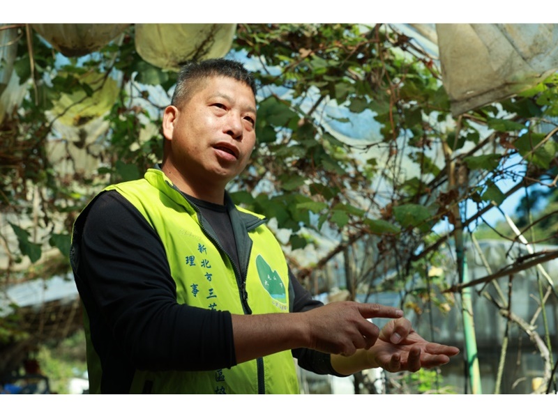 三芝有機農場-農產品