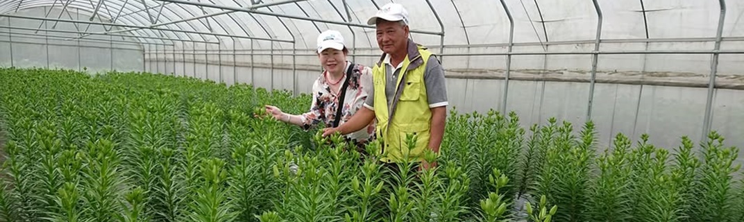 大進有機農場-農產品