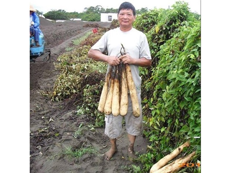 大進有機農場-農產品