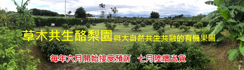 草木共生酪梨園-有機農產品