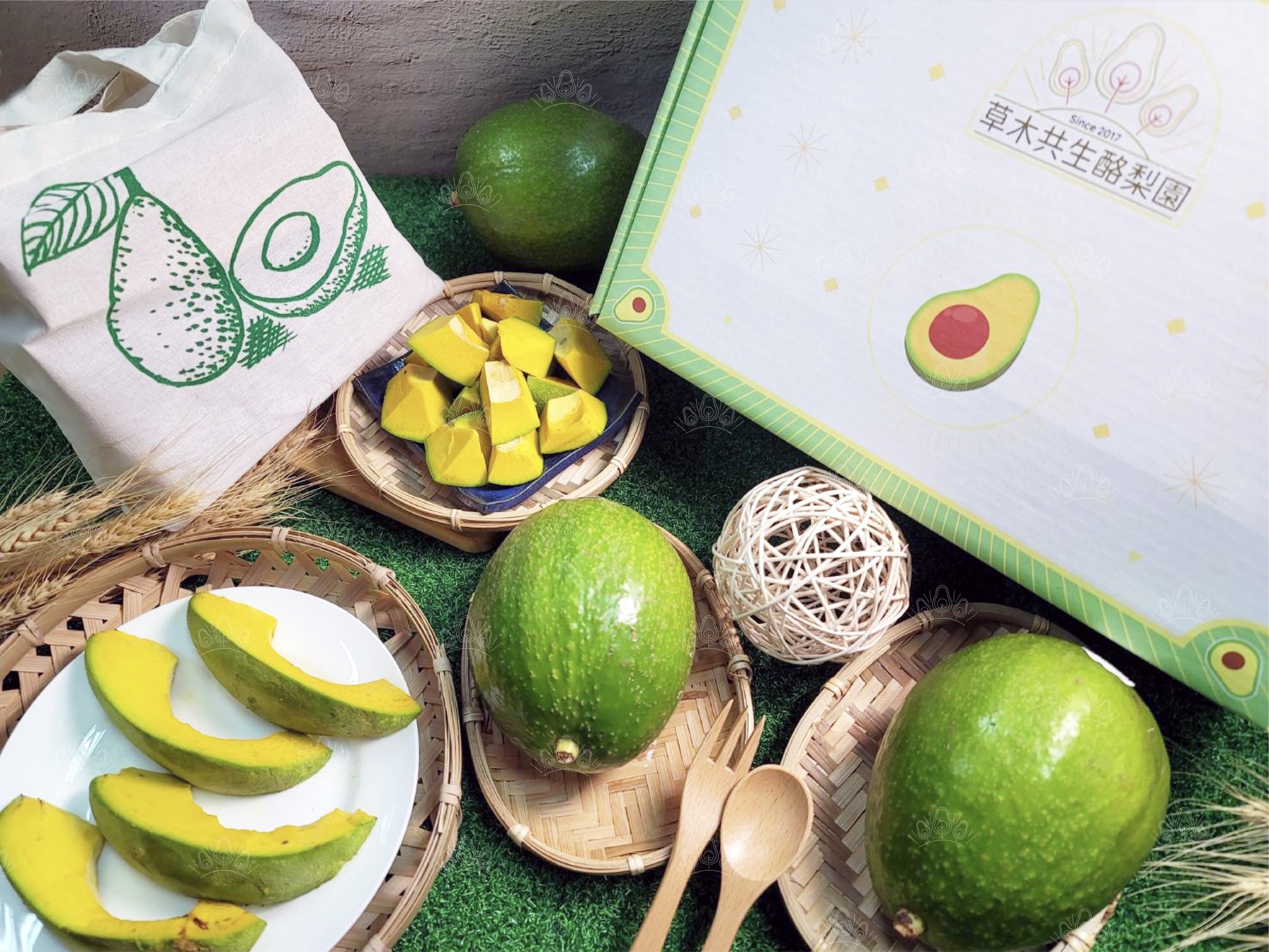 草木共生酪梨園-有機農產品