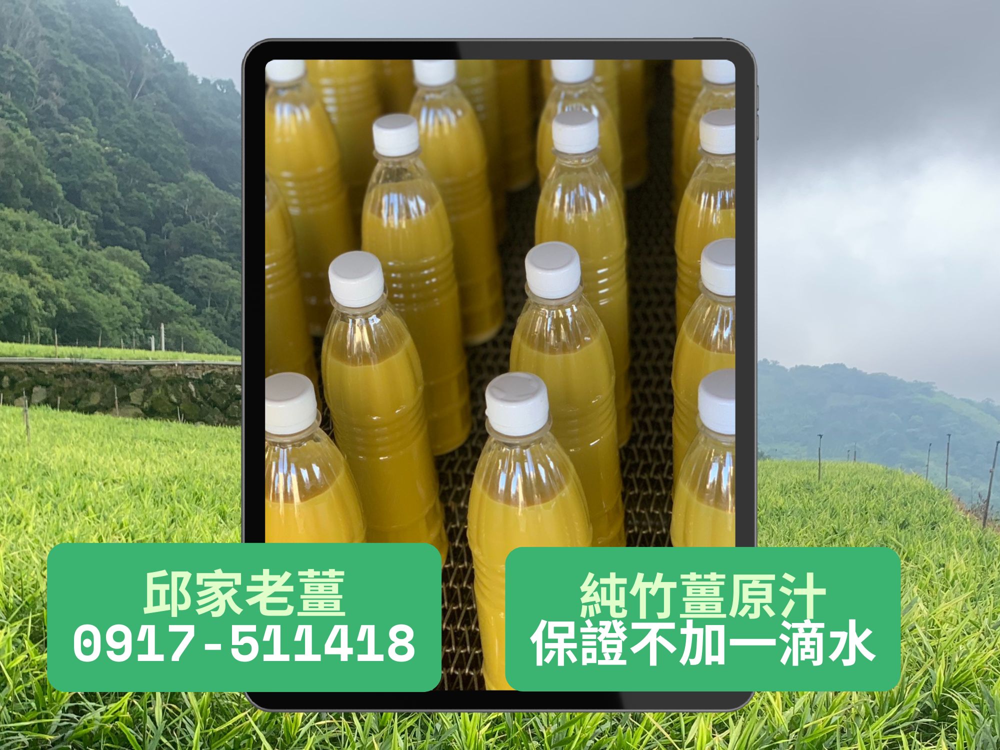 邱家老薑-農產品