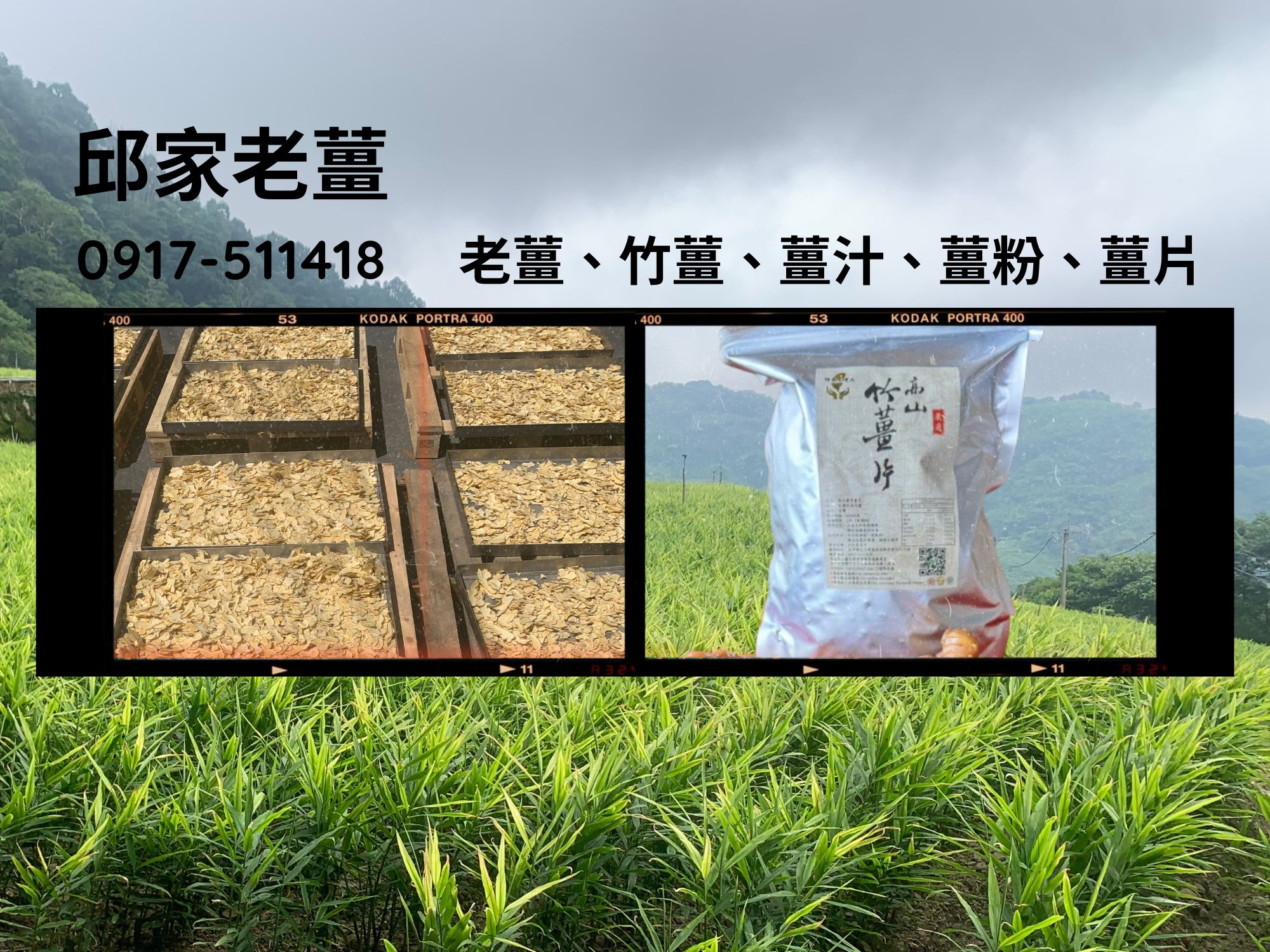 邱家老薑-農產品