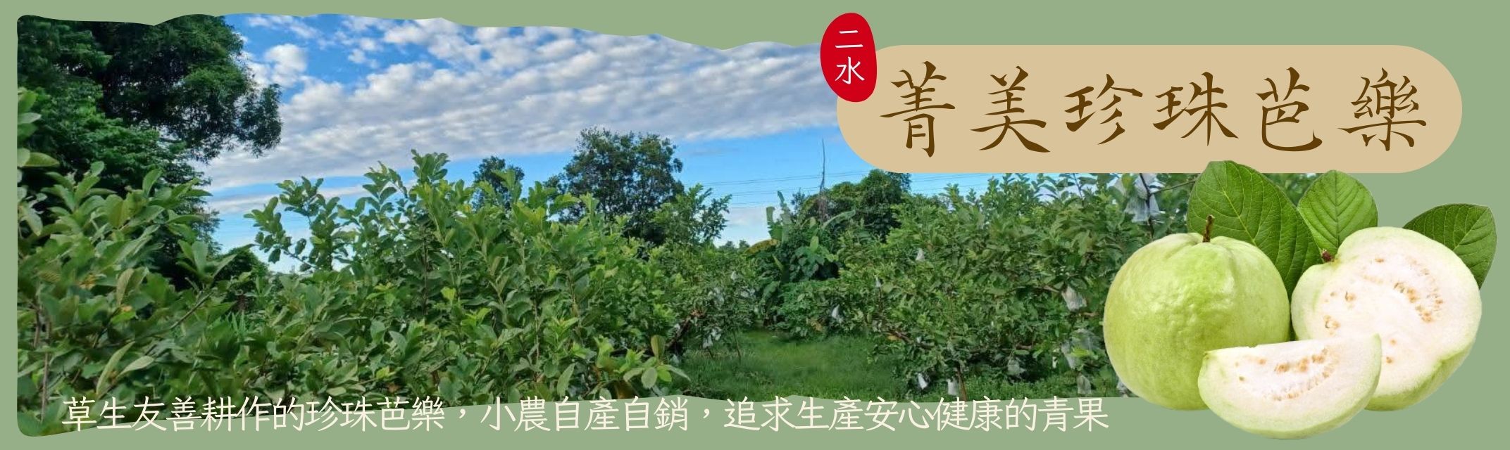 菁美珍珠芭樂-農產品