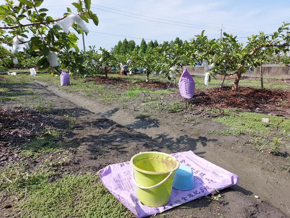 來點有機質肥料吧~