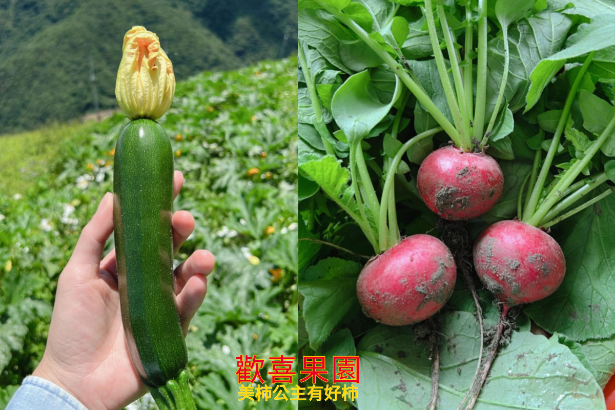 歡喜果園 | 有機甜柿 | 有機水果 | 有機蔬果-土產品