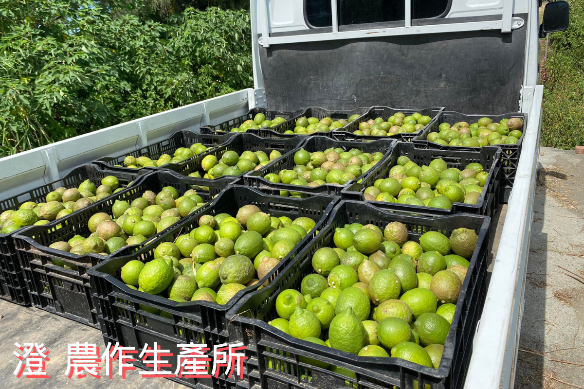 澄 農作生產所 | 有機蔬果-土產品