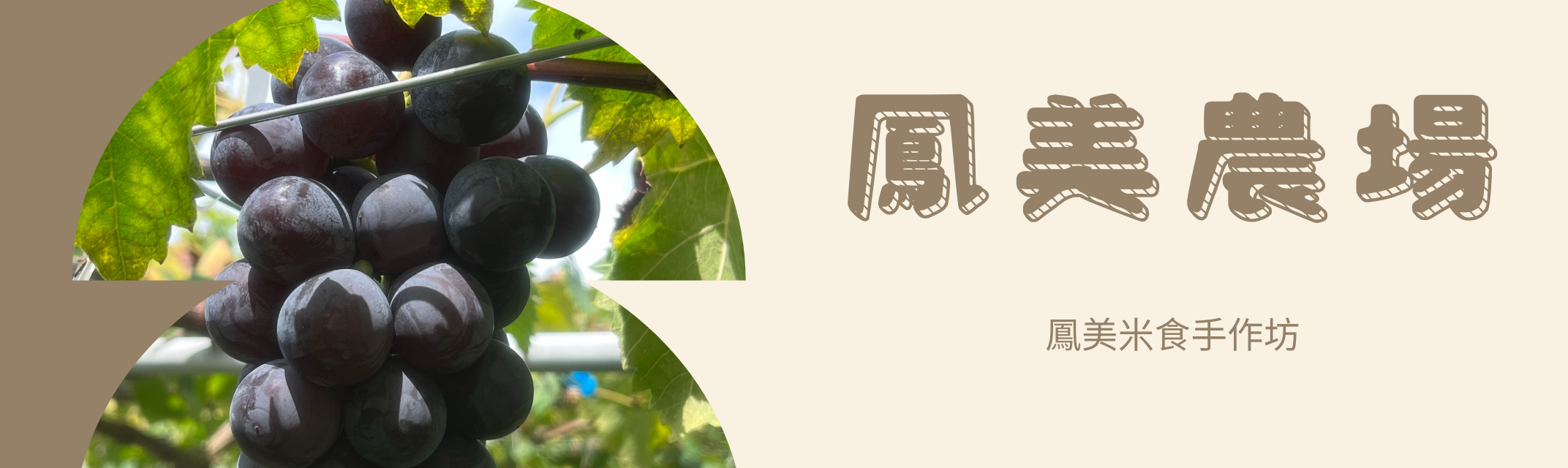 鳳美農場 | 巨峰葡萄 | 茂谷柑-農產品