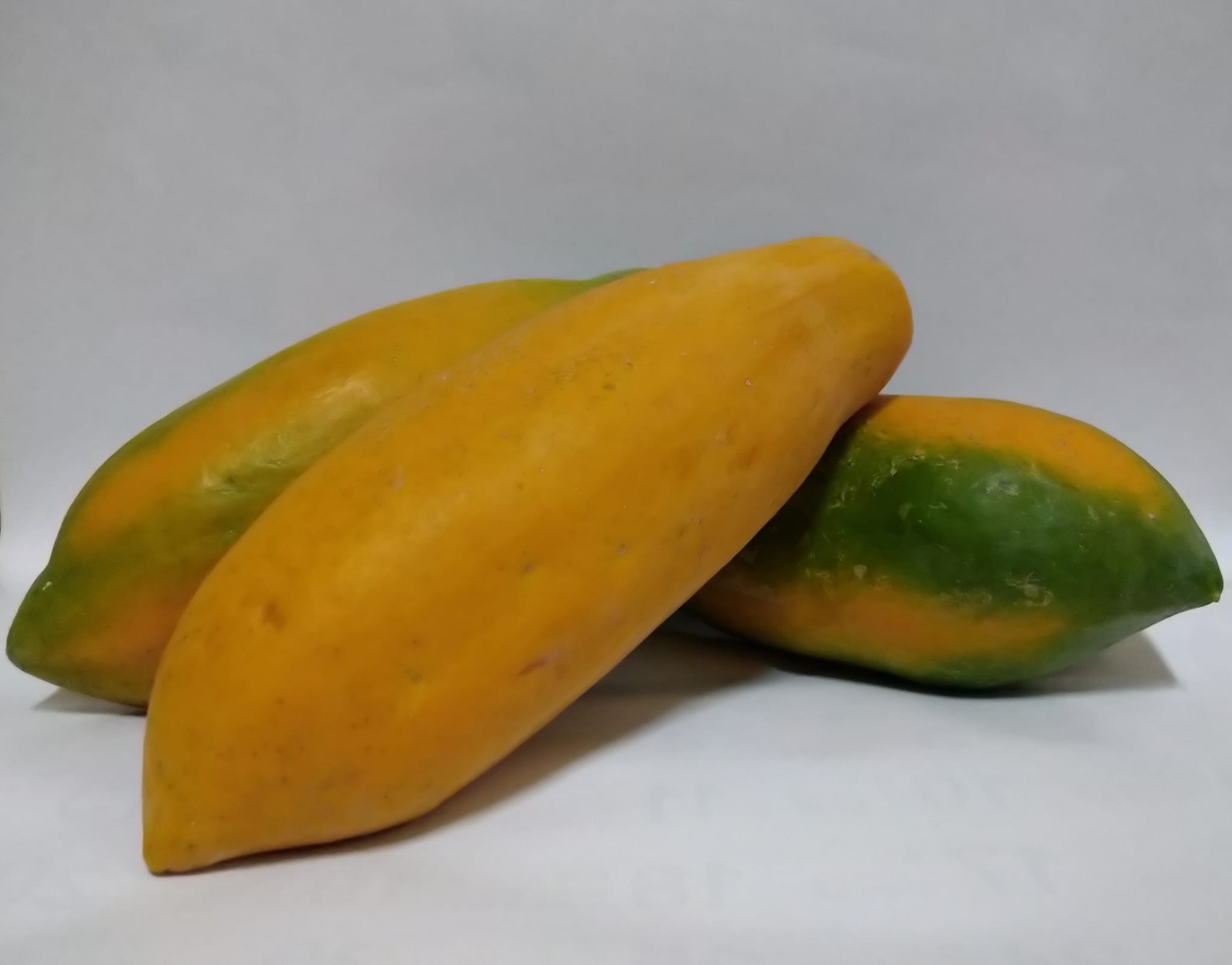 在欉紅的有機木瓜