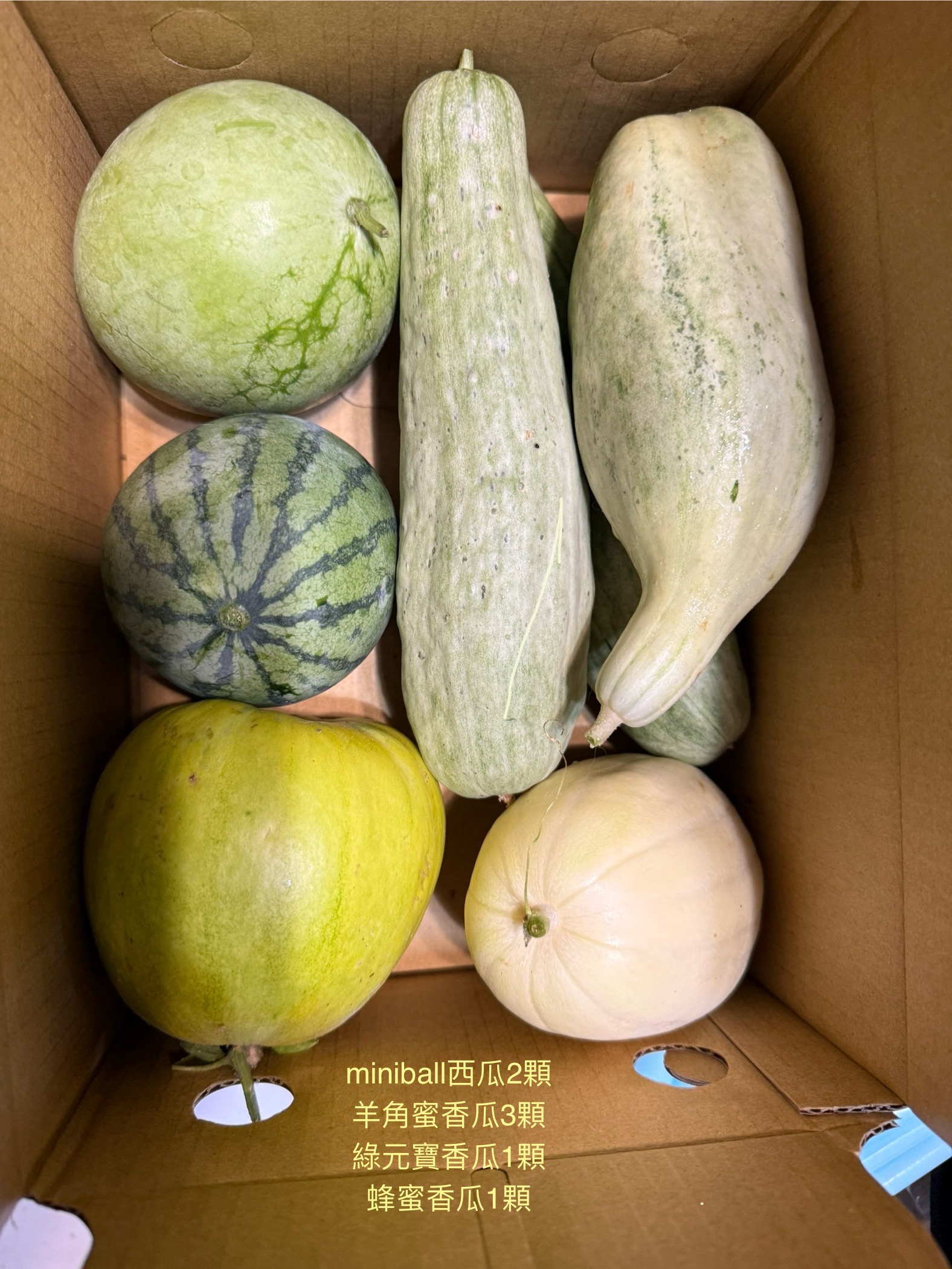 西瓜、羊角蜜香瓜、綠元寶香瓜、蜂蜜香瓜