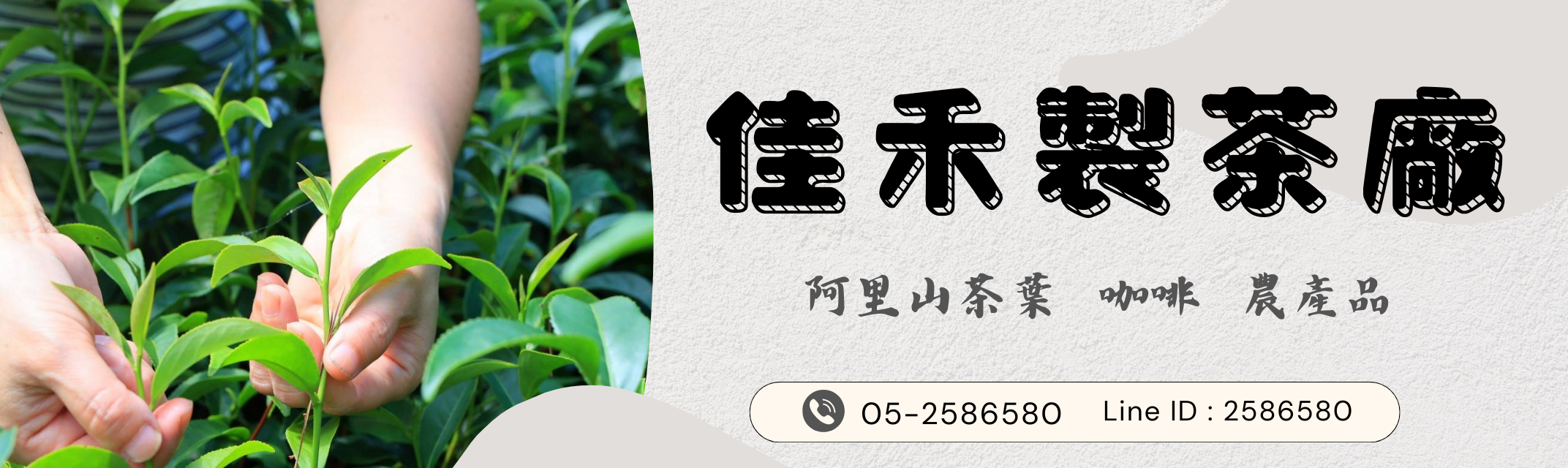 佳禾製茶廠-農產品