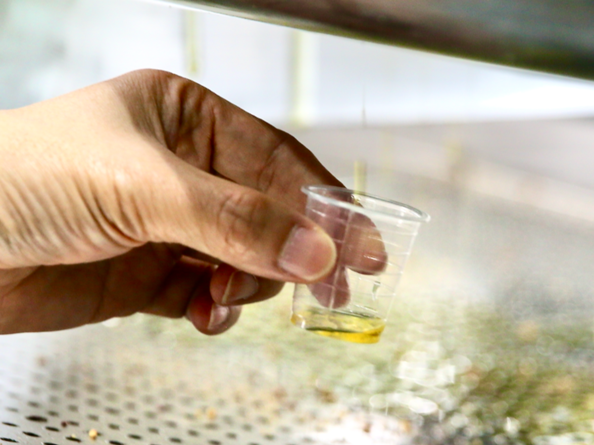 台北盛生食品有限公司-土產品