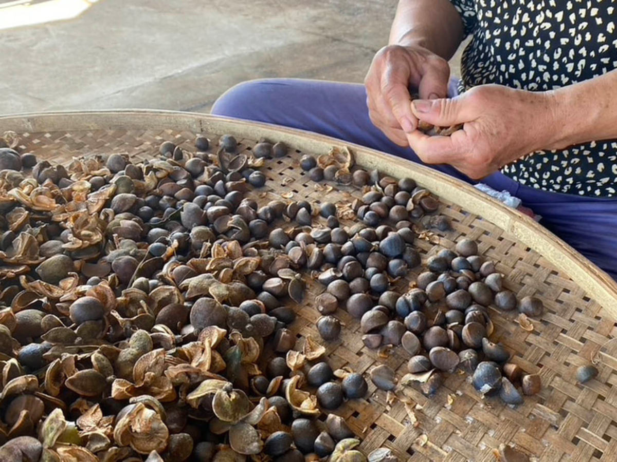 台北盛生食品有限公司-土產品