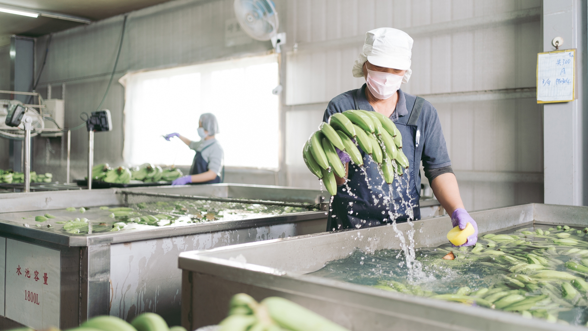 藝隆農產-產銷履歷香蕉