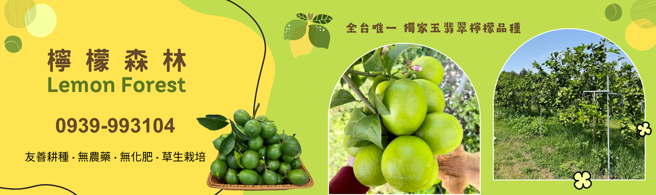 檸檬森林農場｜無毒玉翡翠檸檬 | 天然檸檬產品