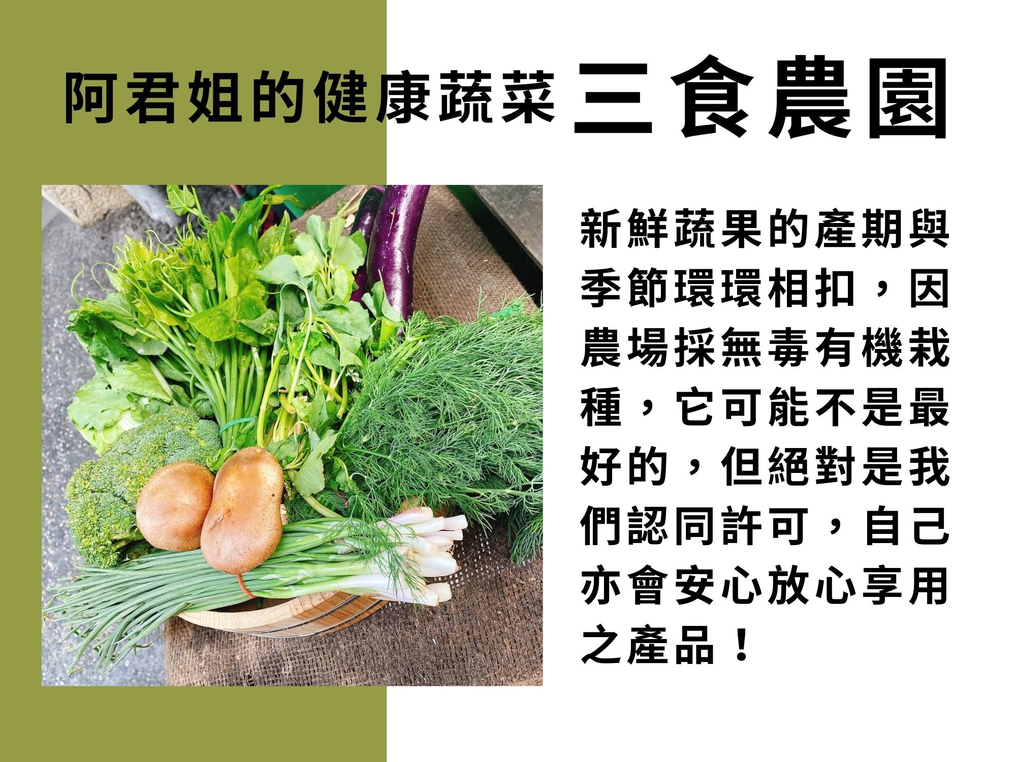 阿君姐的健康蔬菜-三食農園-農產品