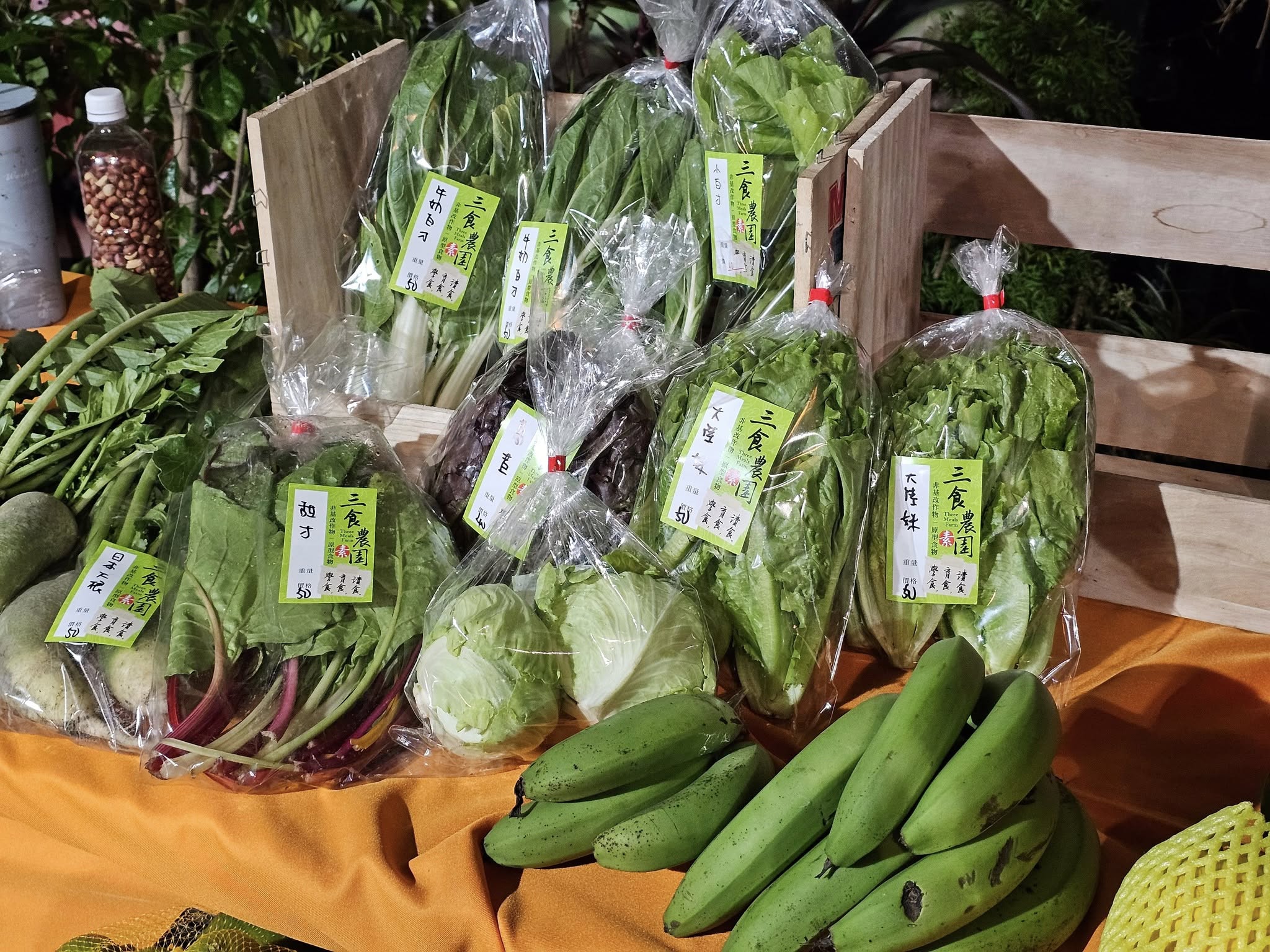 大陸妹」俗稱福山萵苣（生菜）、甜菜又名菾菜或紅菜