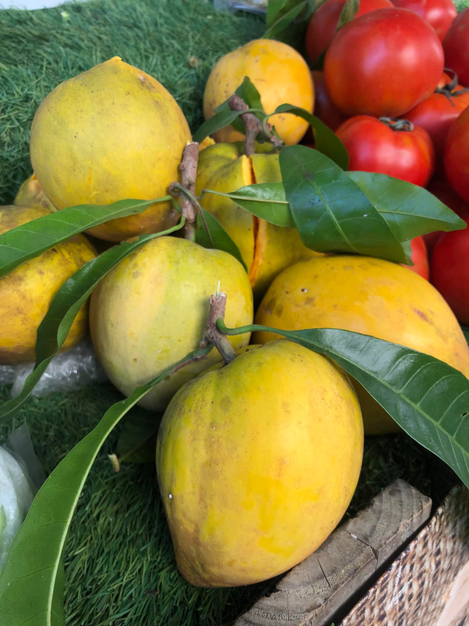 仙桃又名蛋黃果