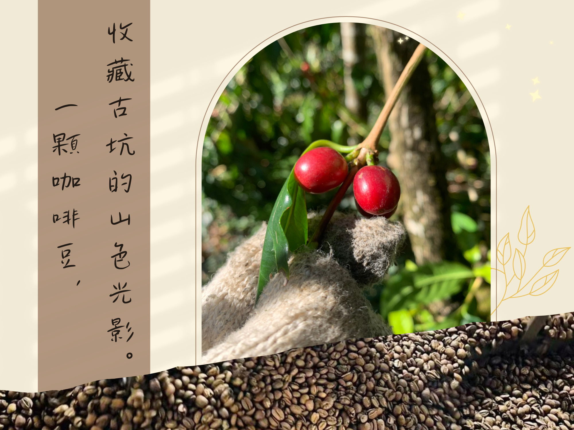 主享咖啡-農產品