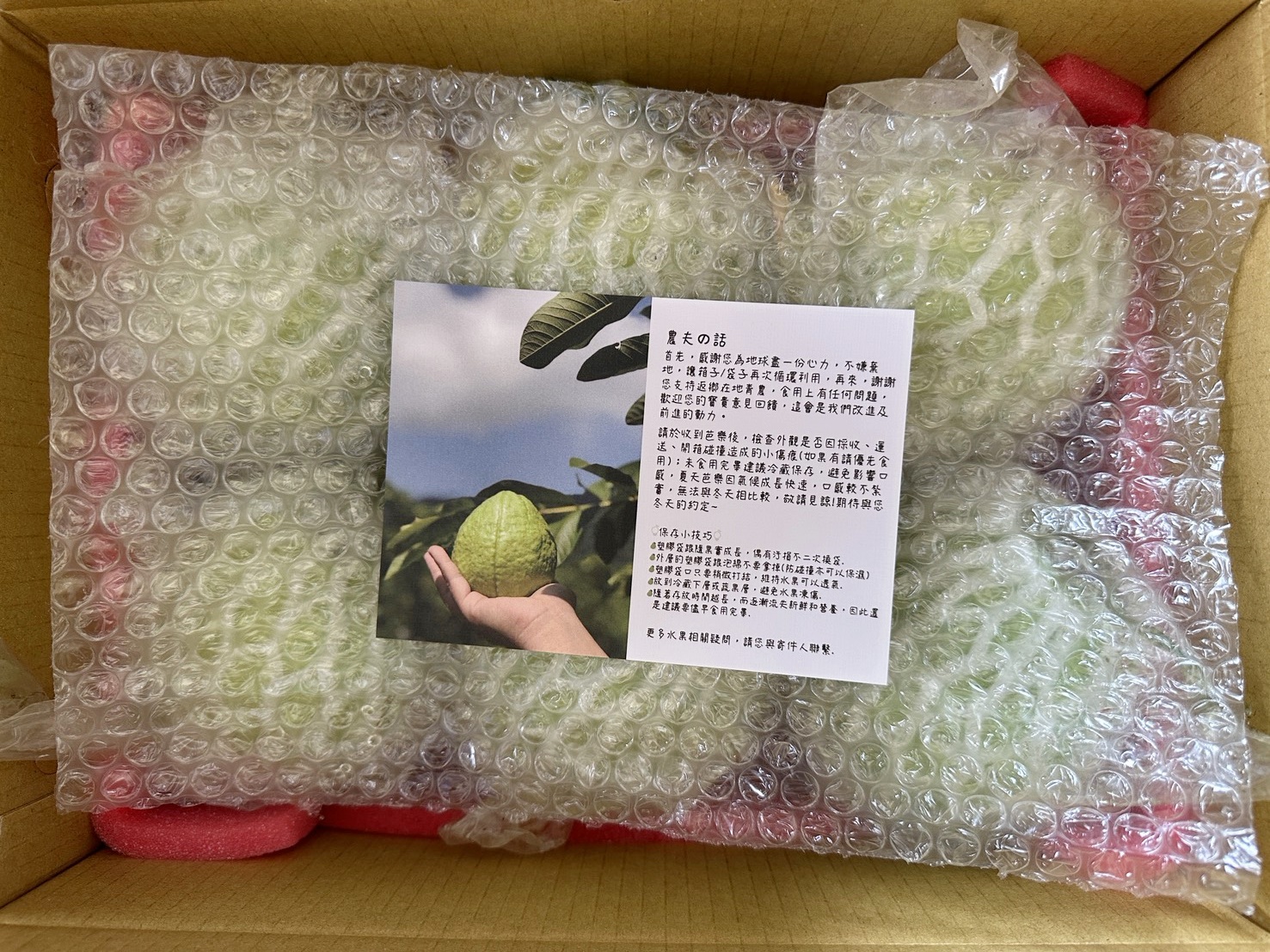 芭樂禮盒｜芭樂宅配