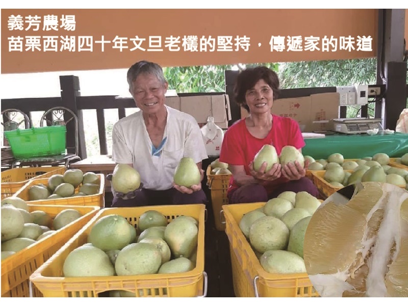 義芳農場-農產品