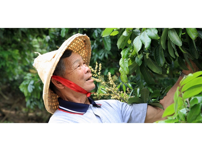 義芳農場-農產品