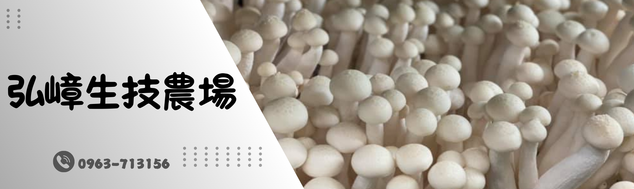  弘嶂生技農場 |  弘嶂農場 | 有機杏鮑菇 | 有機白精靈菇-農產品