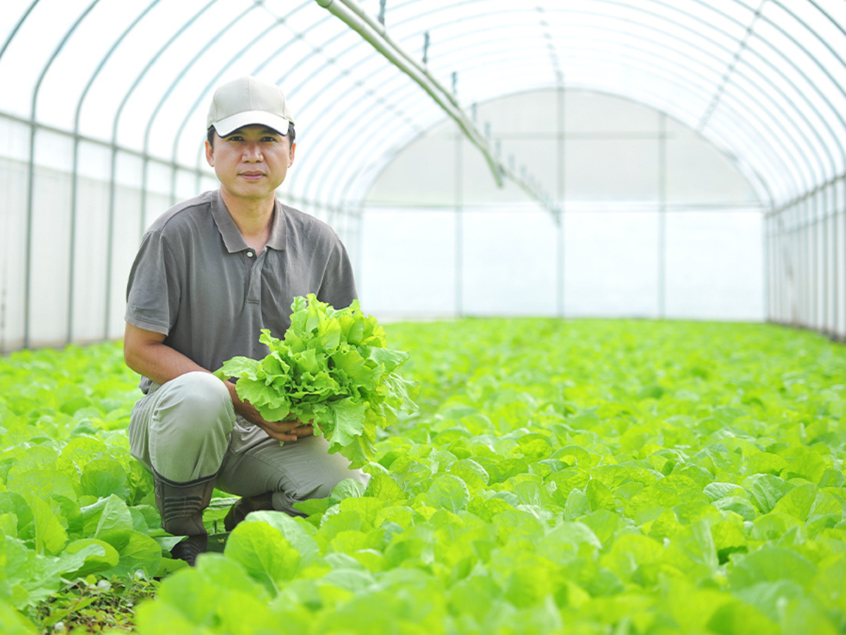 台塑楊梅有機生態農場 | 台塑蔬菜 | 台塑嚴選 -農產品
