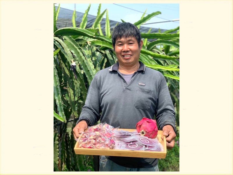 畯富農場~火龍果種植  農作活動體驗-有機農產品