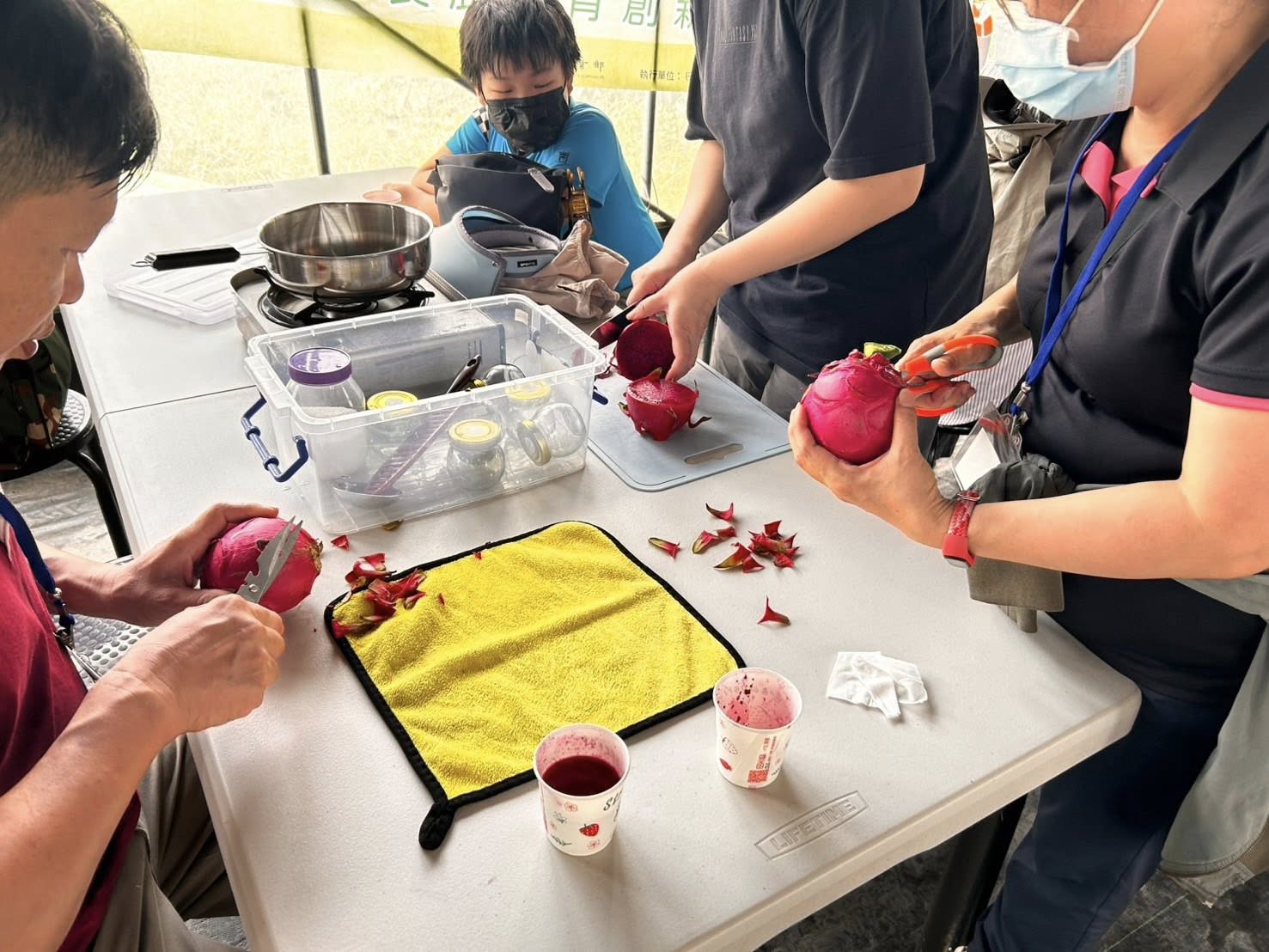 農場活動體驗及推廣