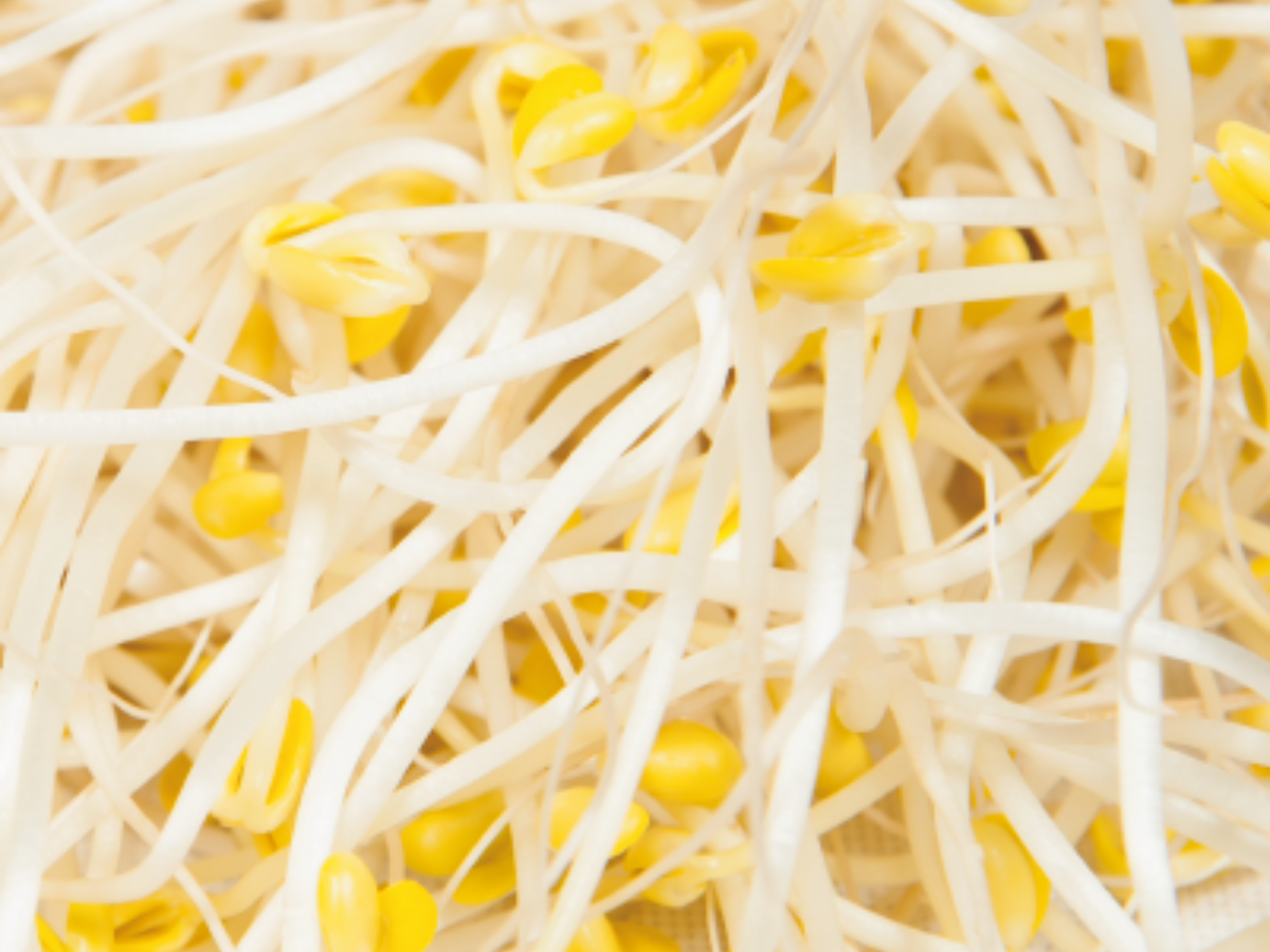 三星芽園-農產品