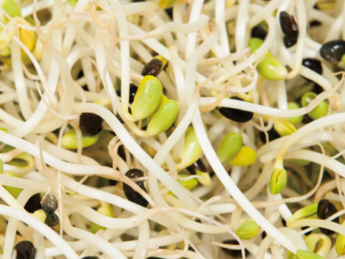 三星芽園-農產品