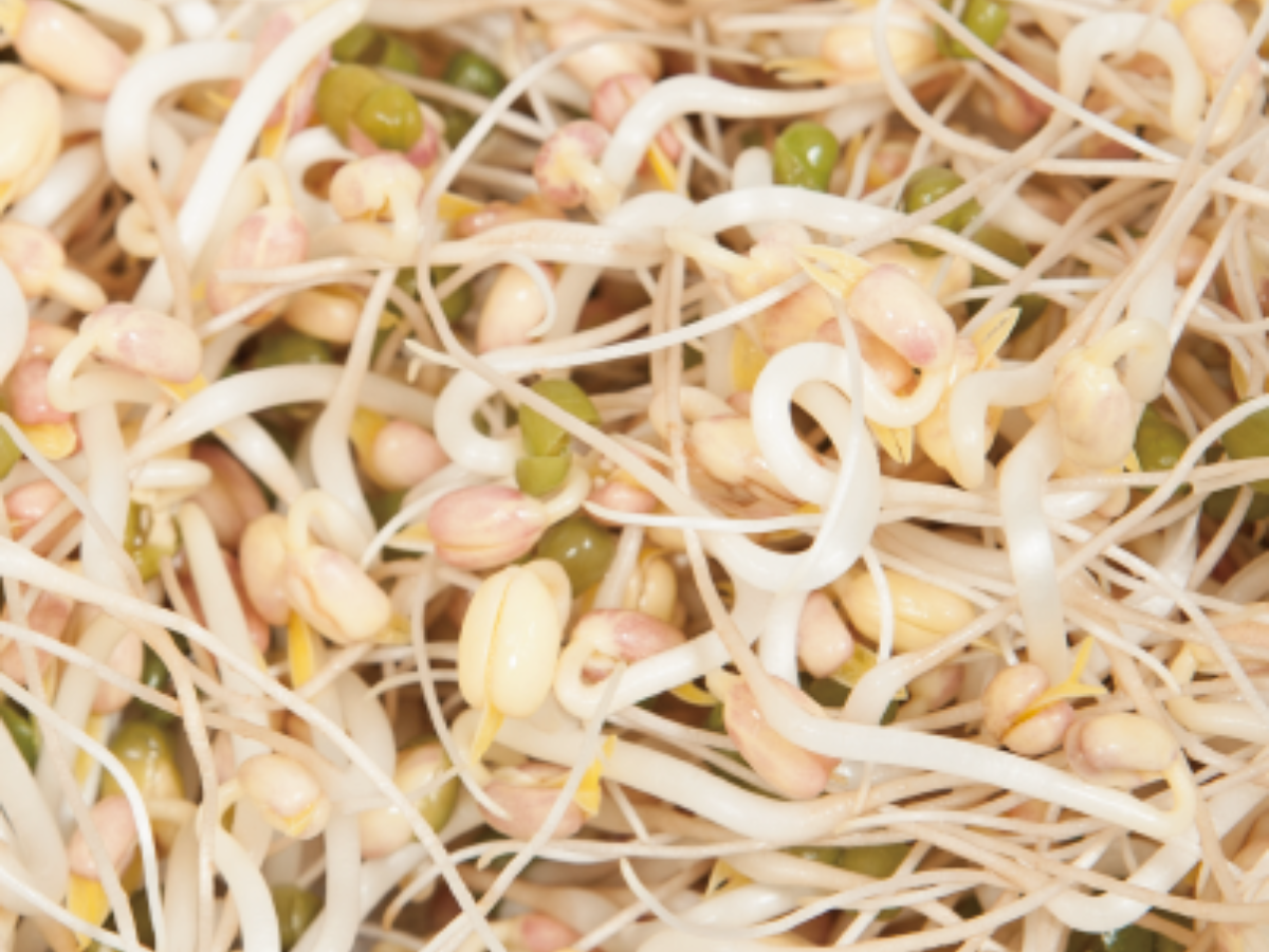 三星芽園-農產品