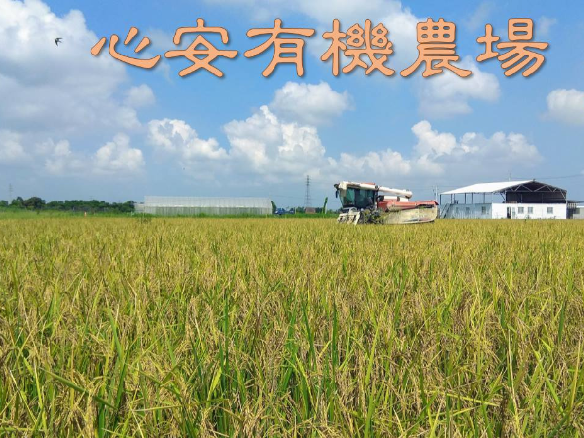 心安有機農場 | 帶殼菱角 | 友善白米-土產品