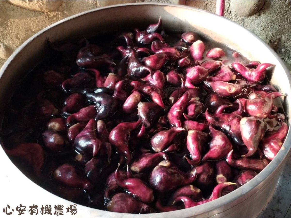 心安有機農場 | 帶殼菱角 | 友善白米-土產品