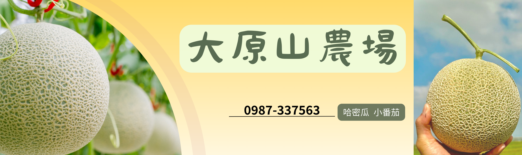 大原山農場 | 網紋洋香瓜 | 嘉義極光哈密瓜 | 玉女小番茄 | 哈密瓜果粹-農產品