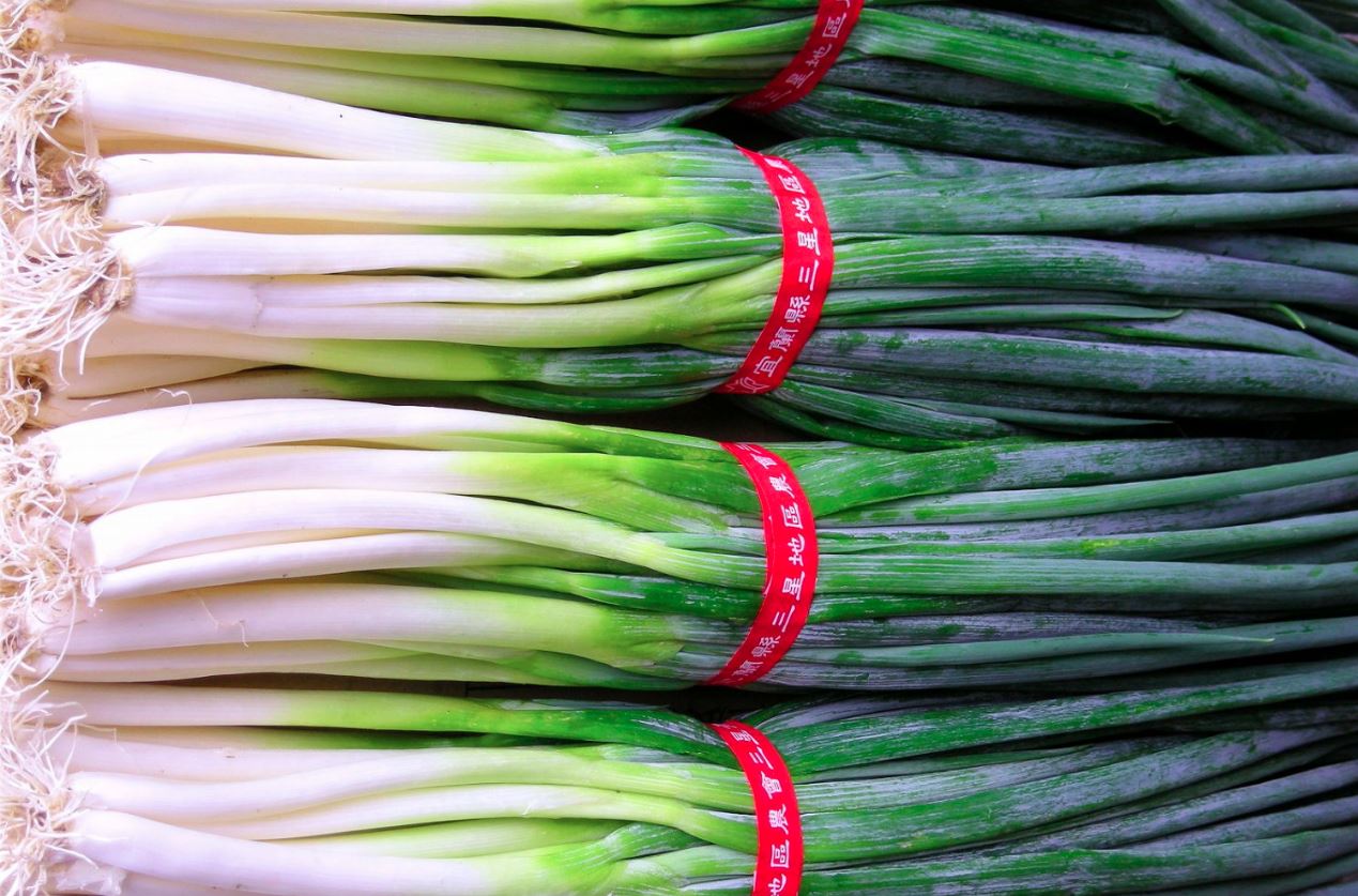 有機三星蔥