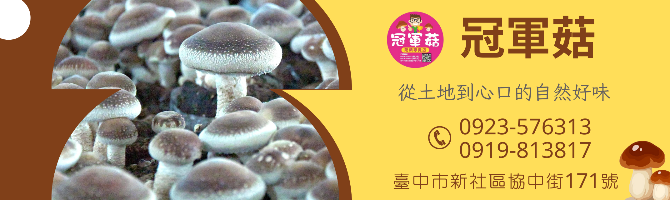 冠軍菇-新社香菇｜新社伴手禮-農產品