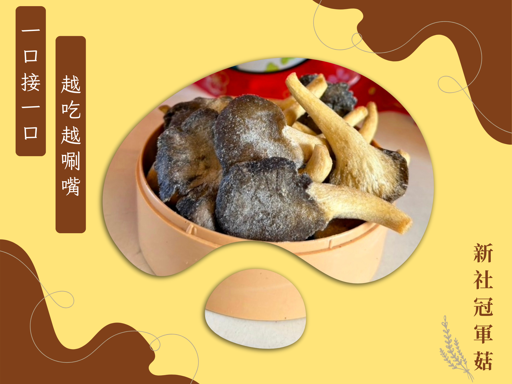 冠軍菇-新社香菇｜新社伴手禮-農產品