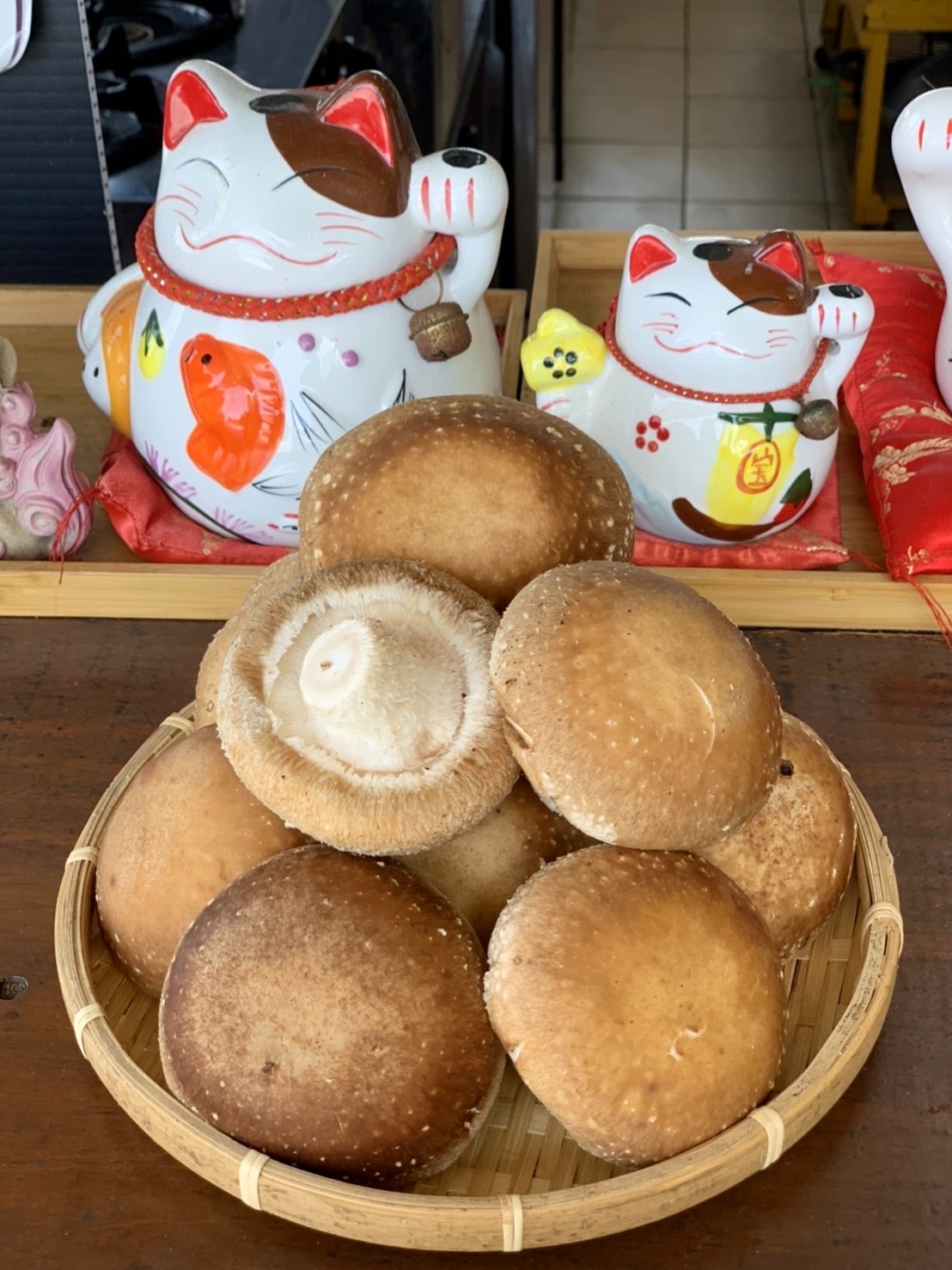 新社香菇-冠軍菇