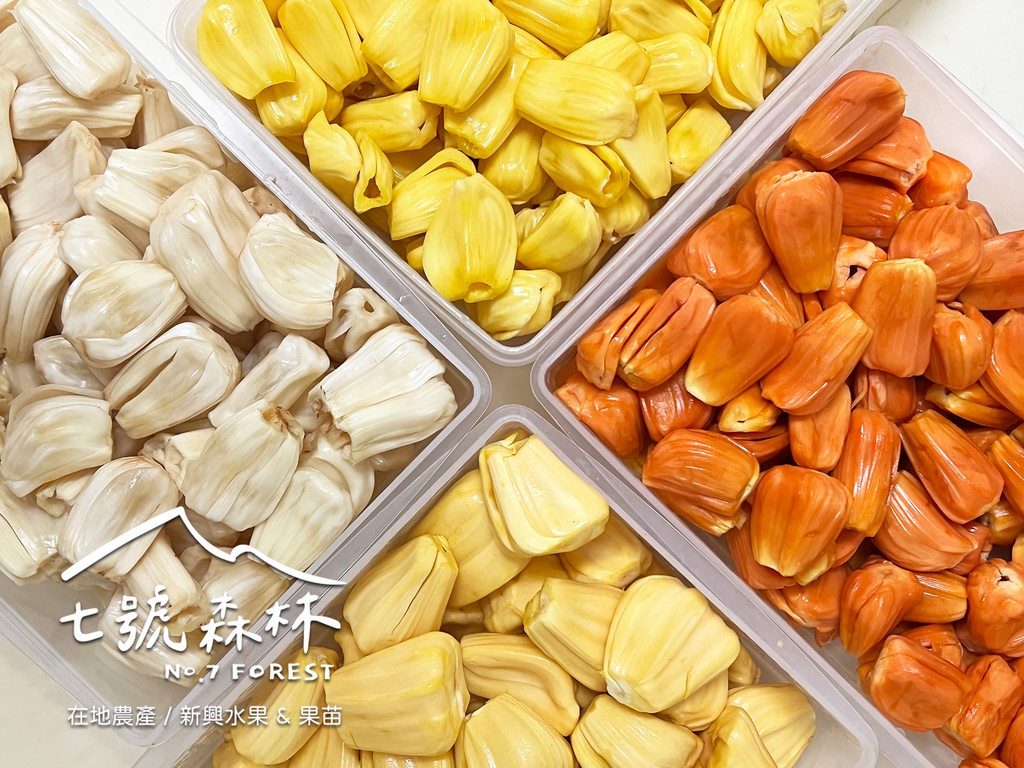 七號森林NO.7 FOREST （預約制）-農產品