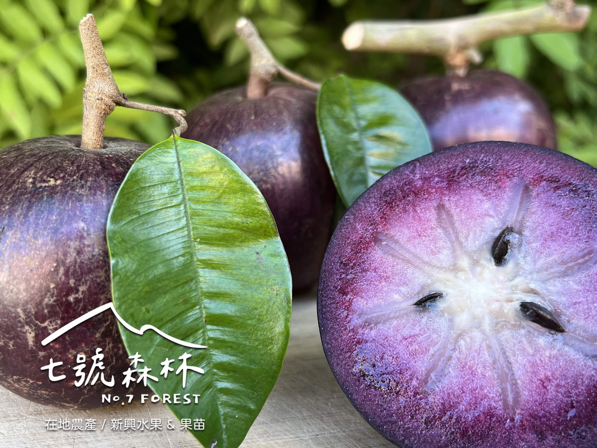 七號森林NO.7 FOREST （預約制）-農產品