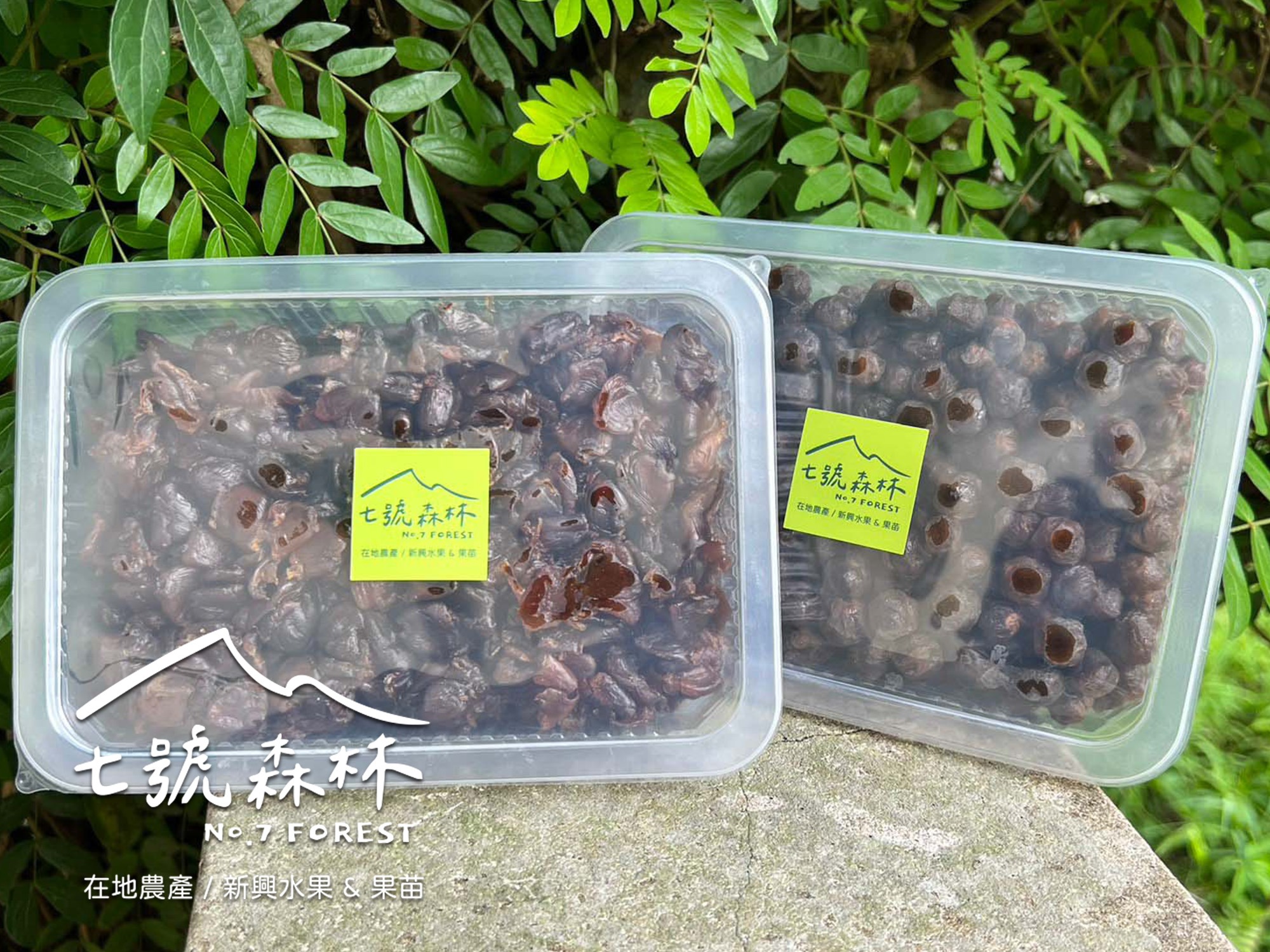 桂圓粒_純桂圓肉