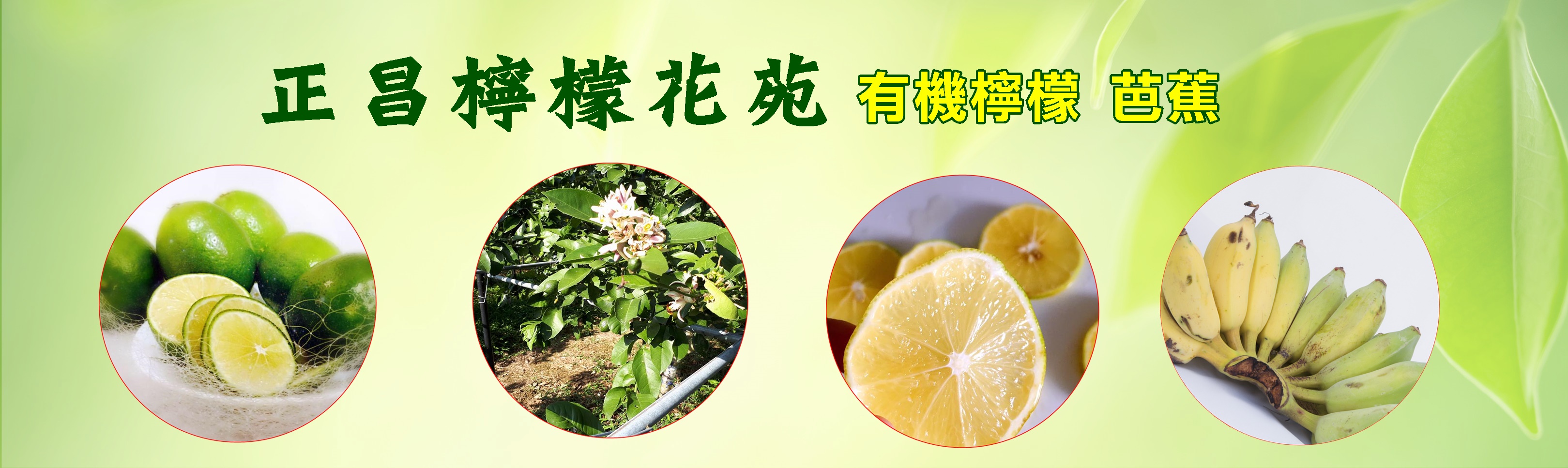 正昌檸檬花苑~有機檸檬與芭蕉種植販售-有機農產品