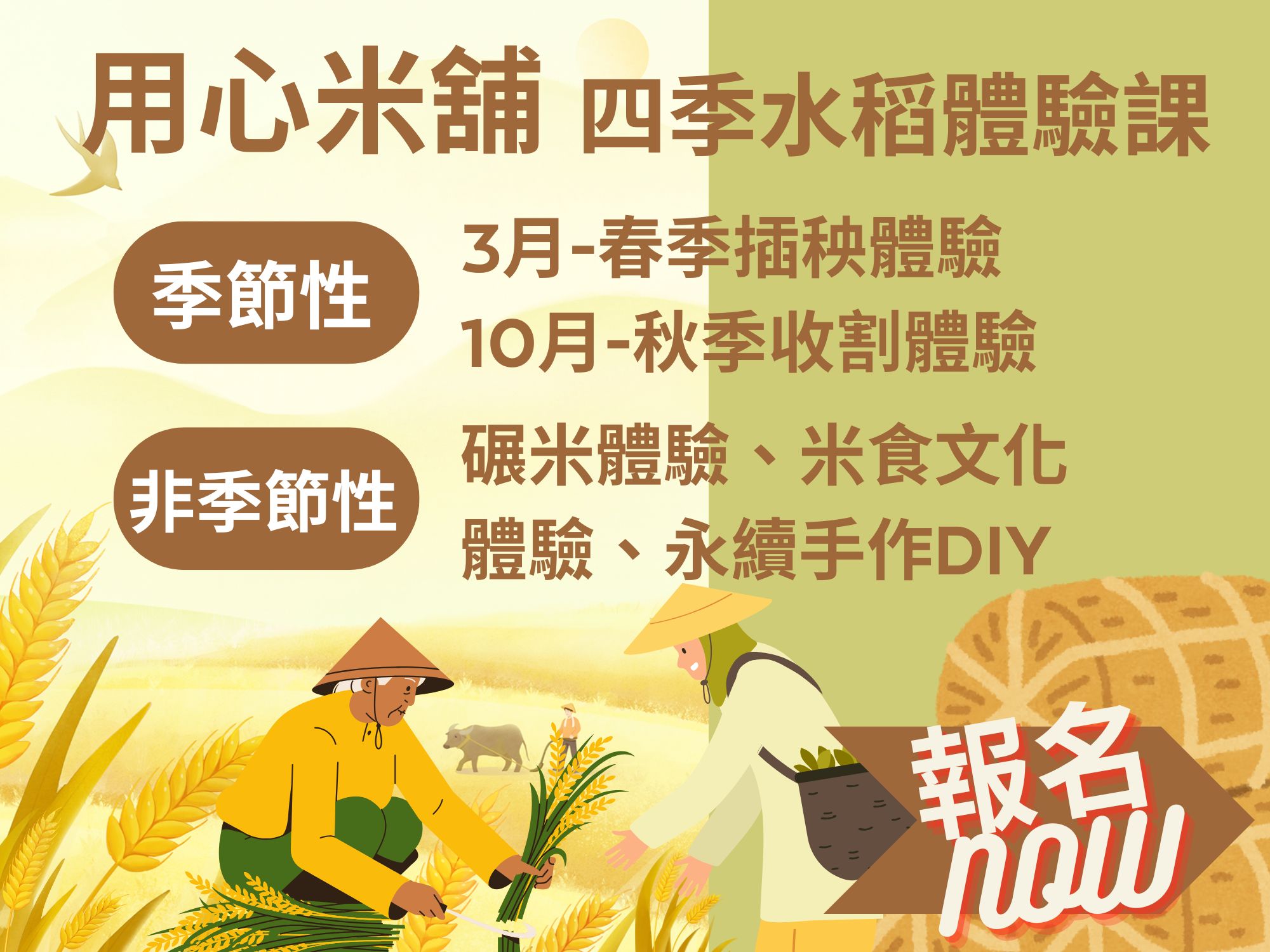 月心米舖有機米-米