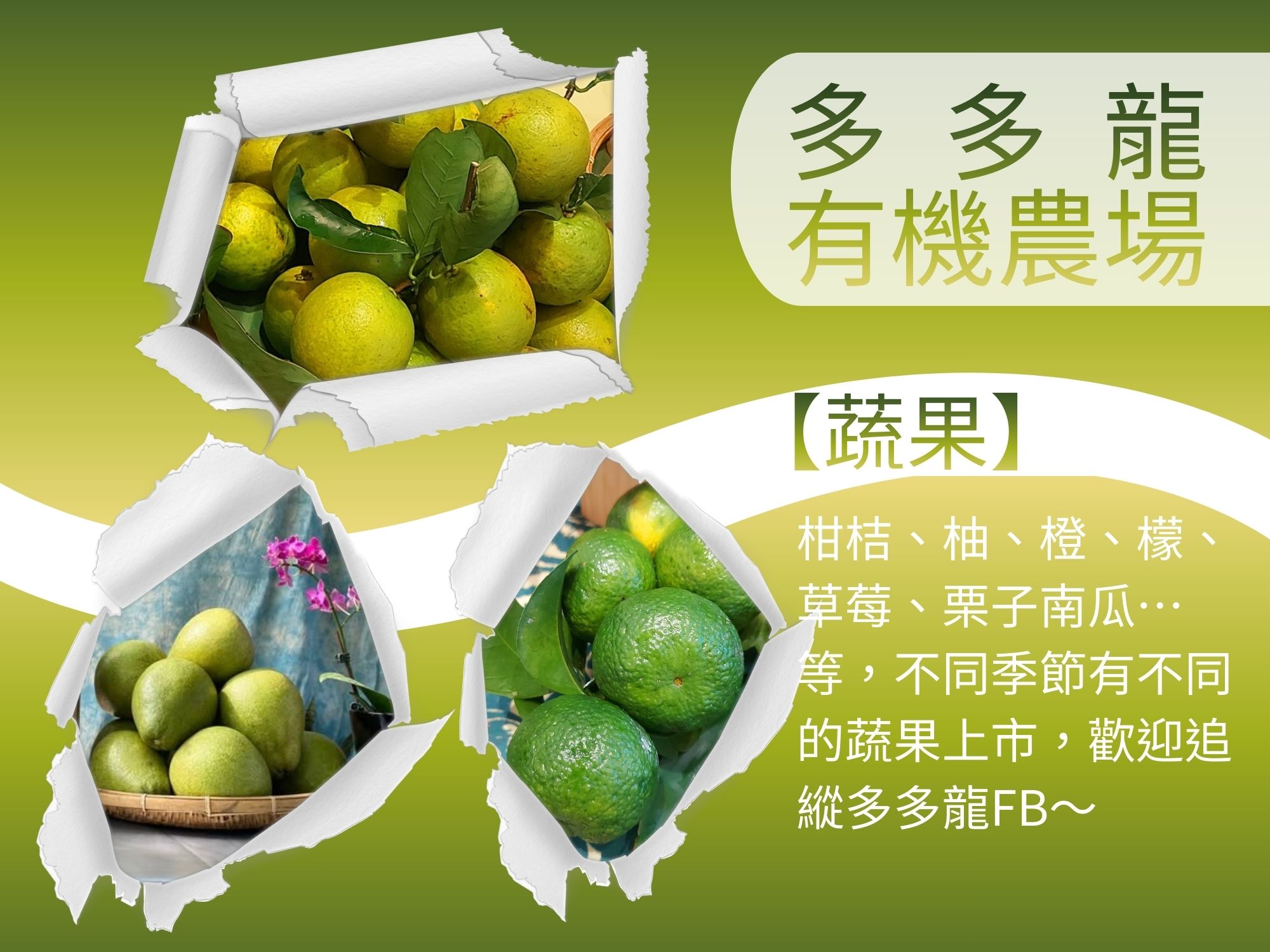 多多龍有機農場-有機農產品