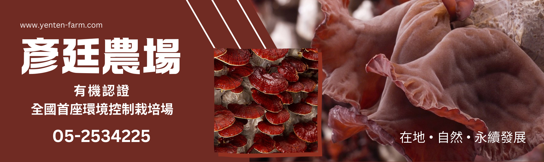 彥廷農場 | 有機黑木耳 | 靈芝產品 | 雙神農獎認證-農產品